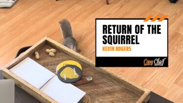 Return of the squirrel